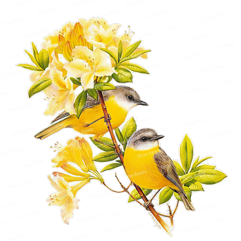 Três ratels qcf146 flor e páss - Flower Wall Panel avaliação e preço