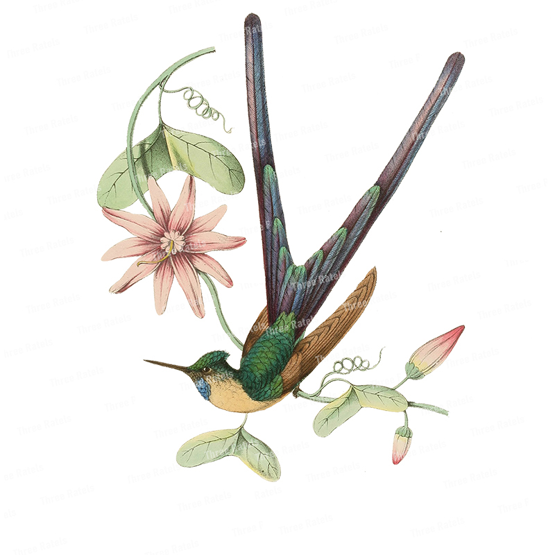 Três Ratels QC486 clássico ele - Flower Wall Panel avaliação e preço